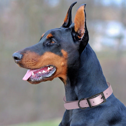 Biothane Waterproof Dog Collar - Small (12 to 15 inches)