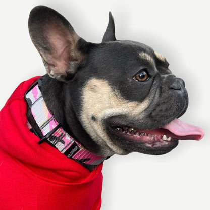 Kiloniner K9R - M2C Lightspeed Collar