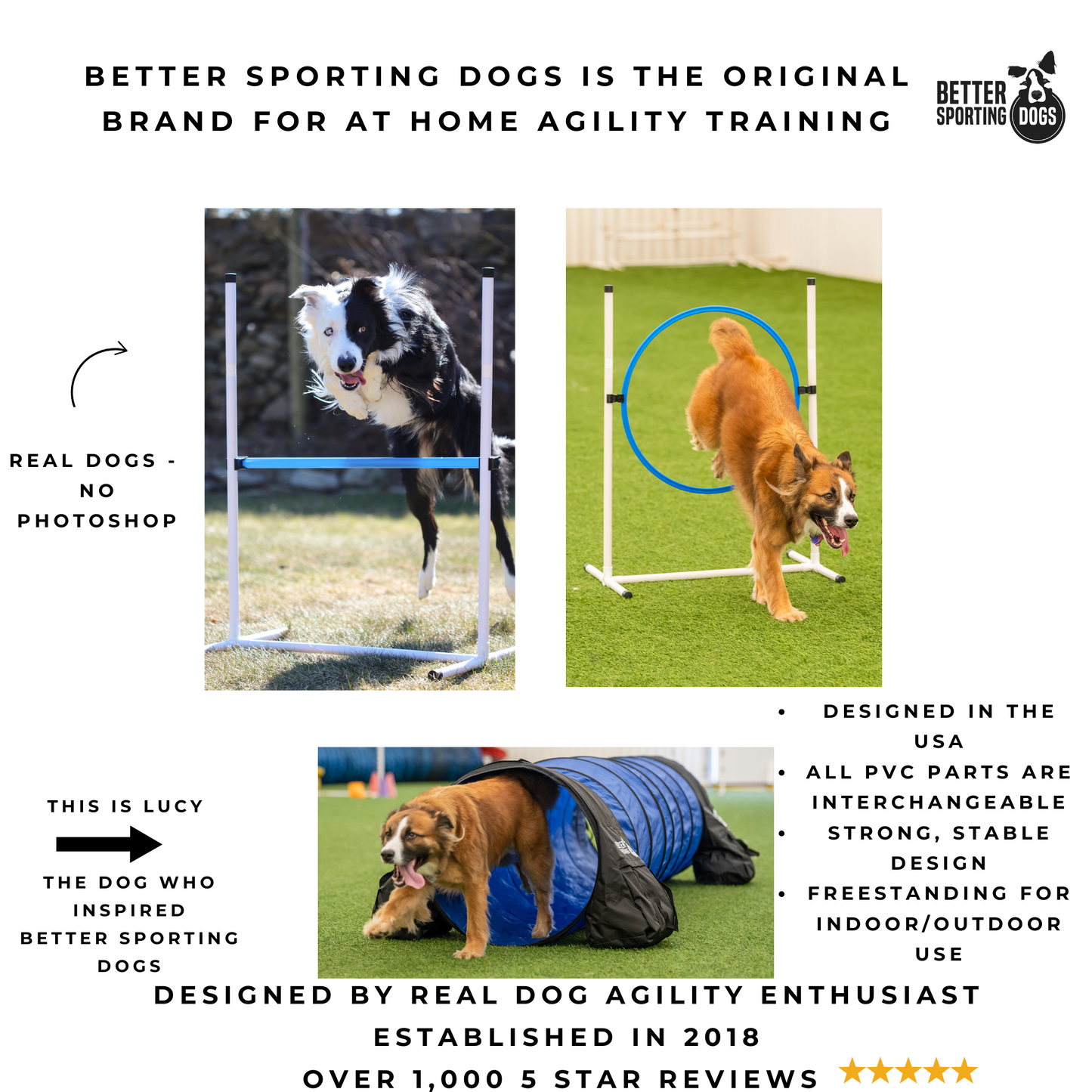 Basic Agility Equipment Set (5 Piece)