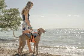 JK9®Multivest/ Swimming Vest