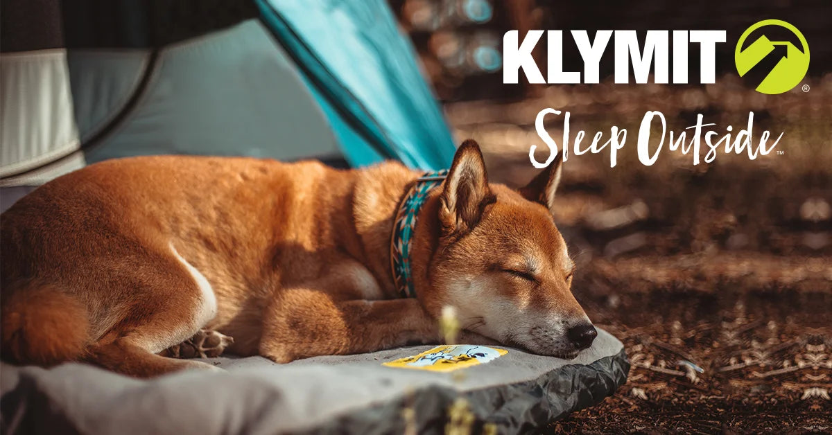 Klymit Moon Dog Bed