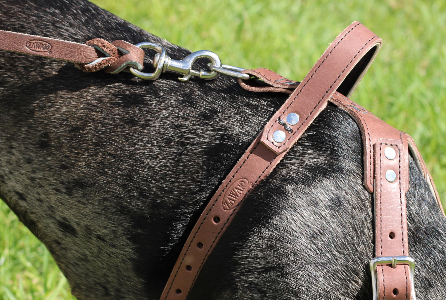 Genuine Leather Harness