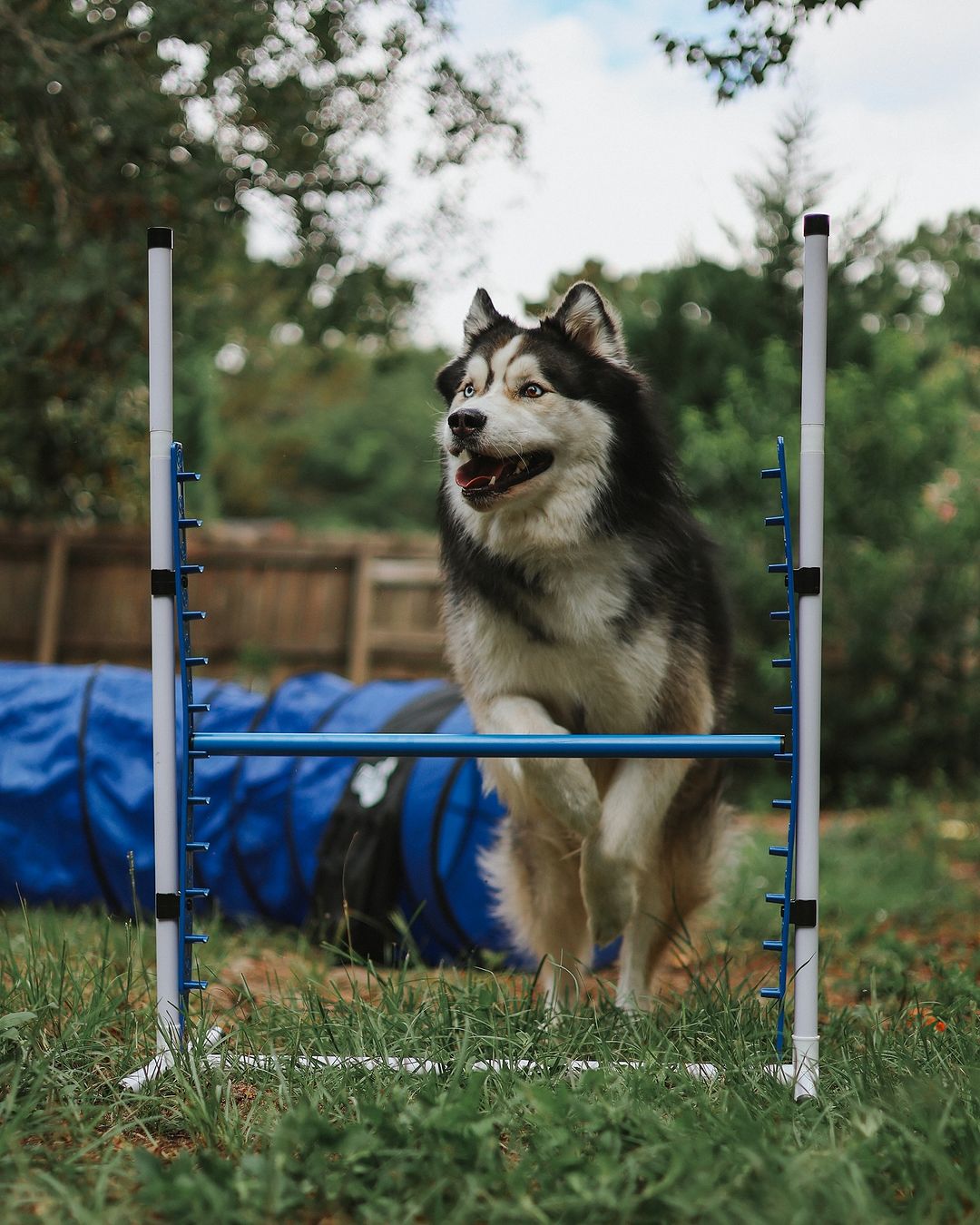 Upgraded Agility Equipment Set (5 Piece)