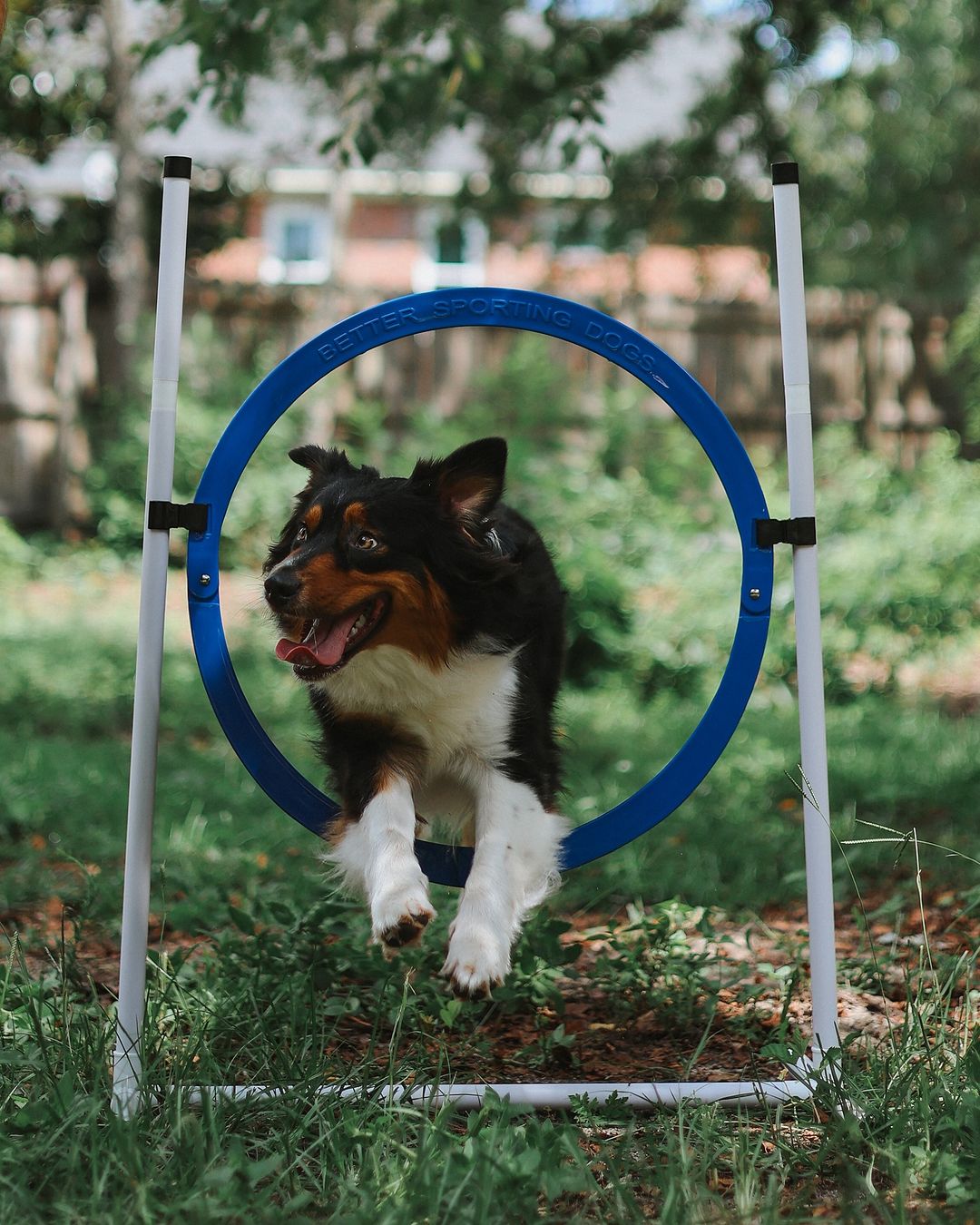 Upgraded Agility Equipment Set (5 Piece)