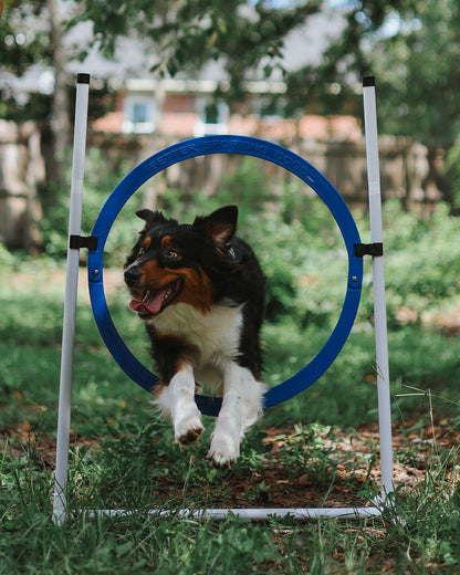 Adjustable Agility Jumps (Bar + Tire Jumps)