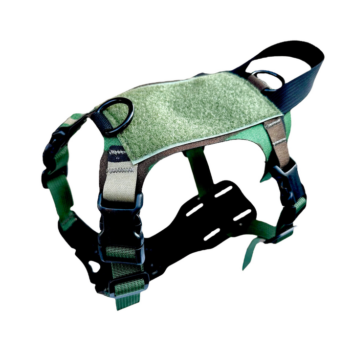 Kiloniner K9R - M1 LightSpeed Harness