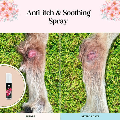 Anti-itch & Soothing Spray for Dogs