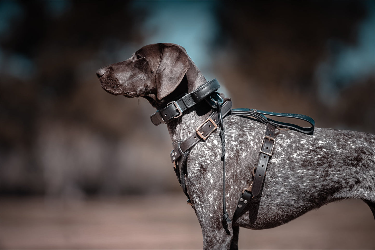 SKÖLLHATI DARK LEATHER AGITATION HARNESS