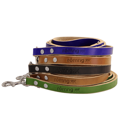 Rōmng 48" Genuine Leather Dog Leashes - Made in USA