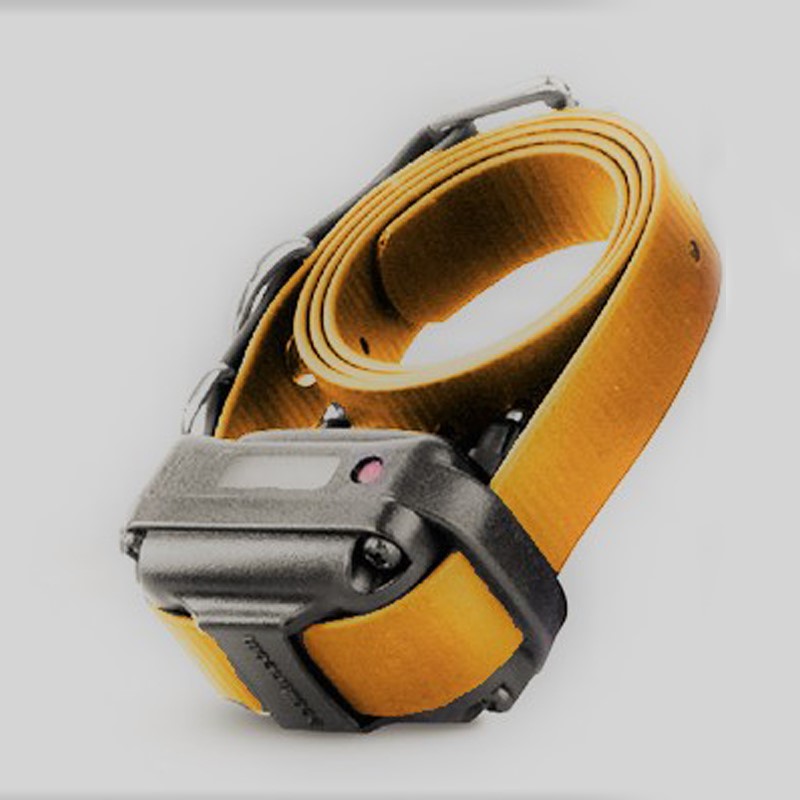 E-Collar Technologies RX-090 Small Receiver