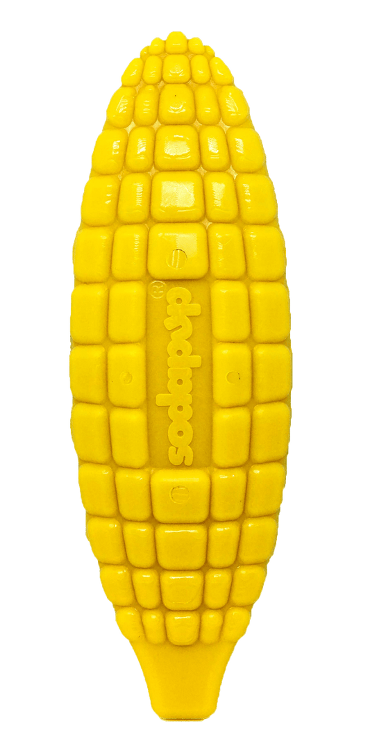 Corn on the Cob eChew Ultra Durable Nylon Dog Chew Toy