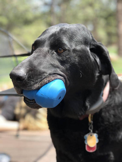 Double Trouble eDispenser Durable Rubber Chew Toy and Treat Dispenser