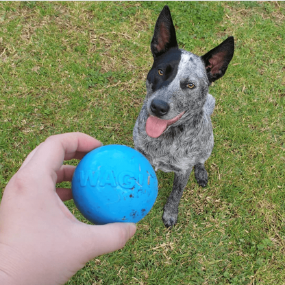 Wag Ball Ultra Durable Synthetic Rubber Chew Toy & Floating Retrieving Toy - Large - Blue