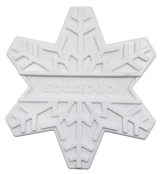 Snowflake eChew Ultra Durable Nylon Dog Chew Toy