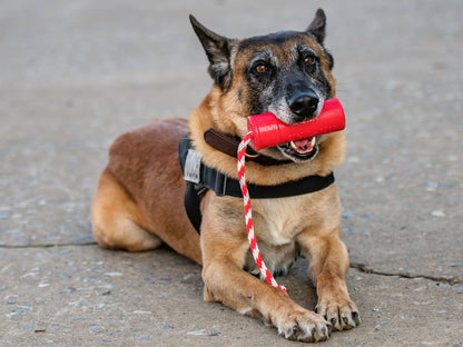 USA-K9 Firecracker Durable Rubber Floating Training Dummy - Large - Red