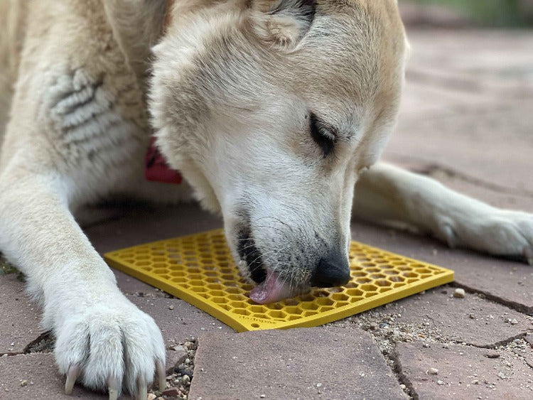 Honeycomb Design Emat Enrichment Lick Mat