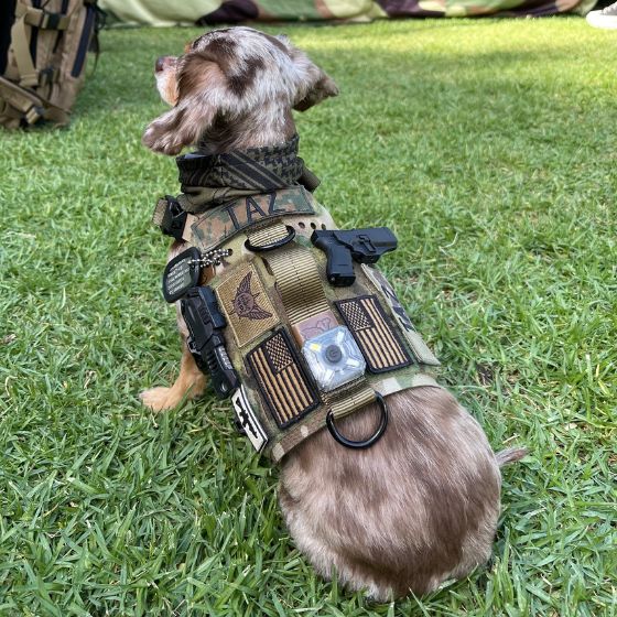 Kiloniner K9R - M5 MOLLE Light Vest – BlueCollar Working Dog