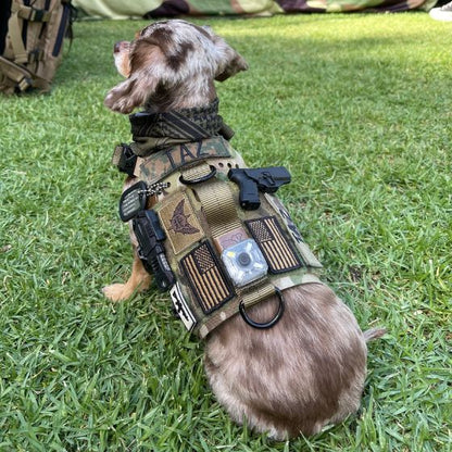 Kiloniner  K9R - M5 MOLLE Light Vest