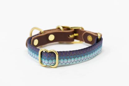 Whiskey Leather Works Saltwater Dog Collars