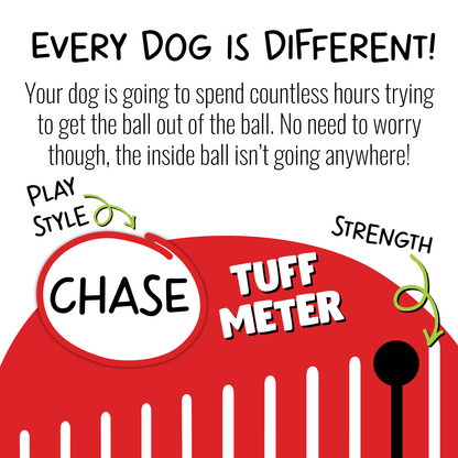 Jolly Pets Teaser Ball