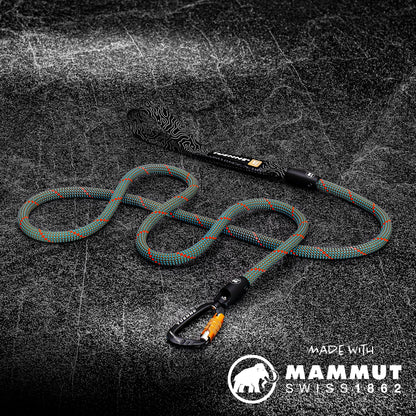 Tuenne Customizable Dog Leash