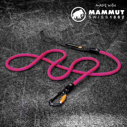 Tuenne Customizable Dog Leash