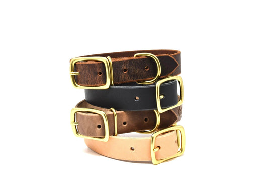 Whiskey Leather Works Full Leather Dog Collar